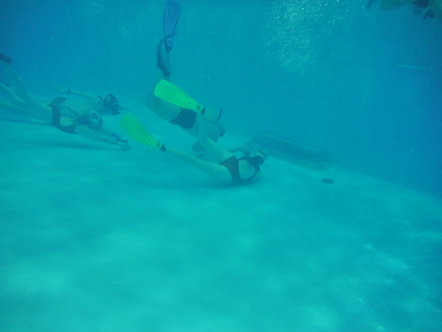 Hokej pod wodą Walenie Siemianowice Śląskie Trening 27 IV 2024